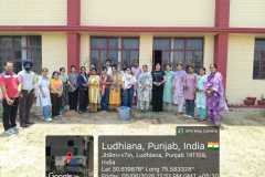 TREE PLANTATION